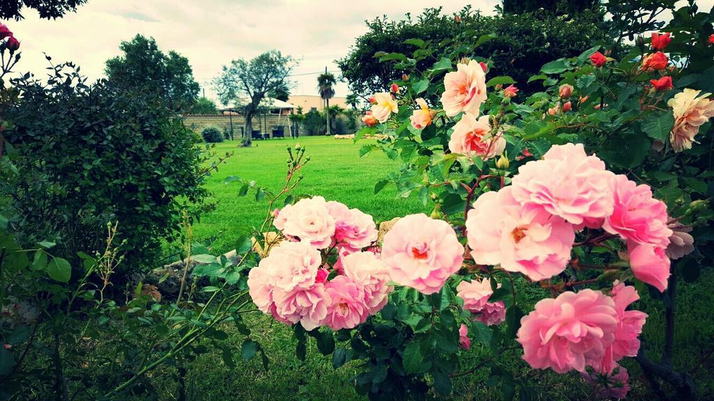 Villa Elegance Ladispoli Zewnętrze zdjęcie