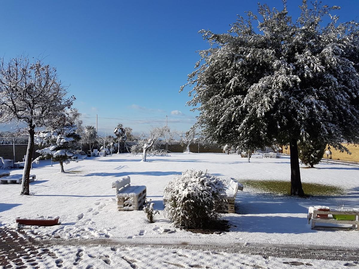 Villa Elegance Ladispoli Zewnętrze zdjęcie