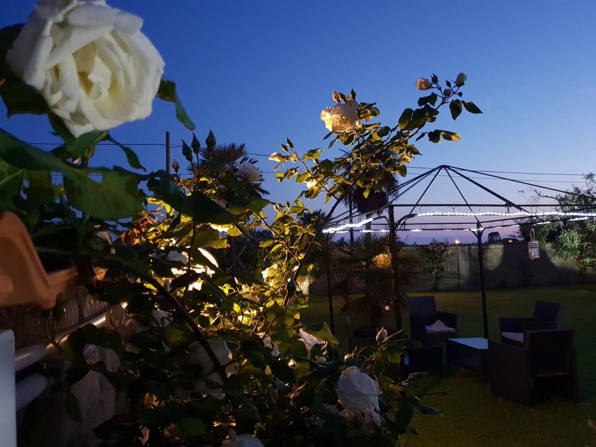 Villa Elegance Ladispoli Zewnętrze zdjęcie