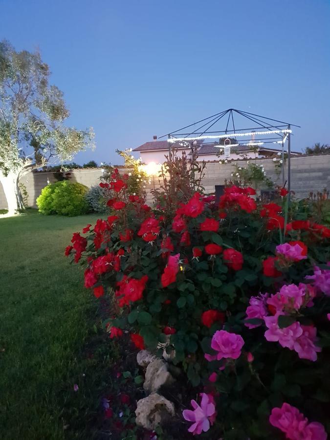 Villa Elegance Ladispoli Zewnętrze zdjęcie